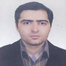 Meysam Amidfar