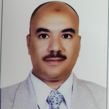 Hossam Mohamed Saleh Hassaan