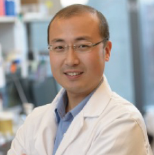 Shangqian Wang