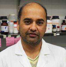 Vikram Verma