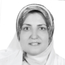 Marwa K Ibrahim