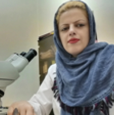 Maryam Kolahi