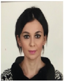 ARSLAN ISIK