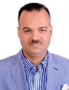Mohamed Saleh Mohamed Ismail