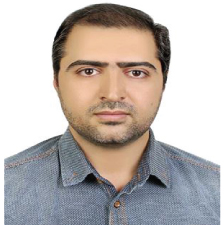 Meysam Amidfar