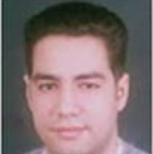 Ahmed Abdel-Hamid